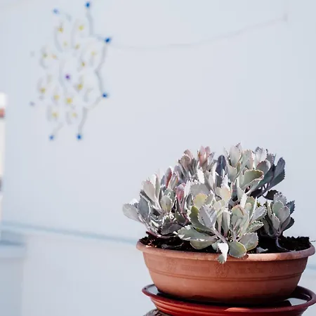 Terra D'arneo Bed & Breakfast Leverano